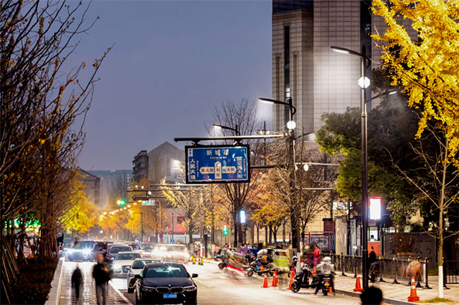 臨平亞運場館周邊街區道路.jpg